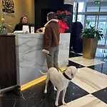 Отель The Sydney 4*